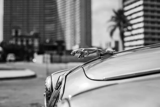 קזינו לויאל בט אפליקציית Android/iOS